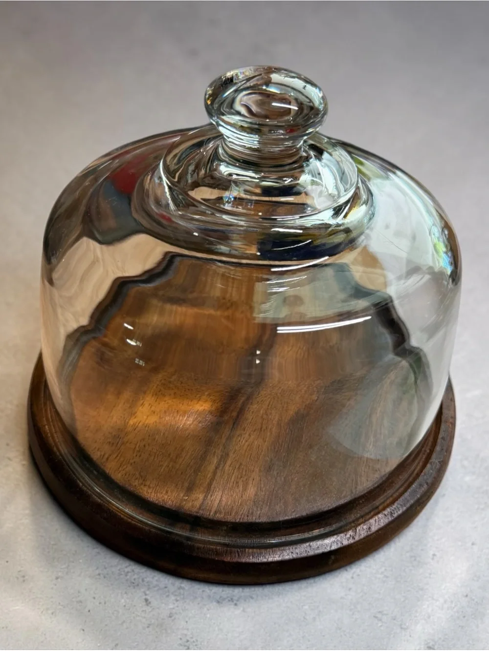 CURATED Glass Cloche with Wooden Base